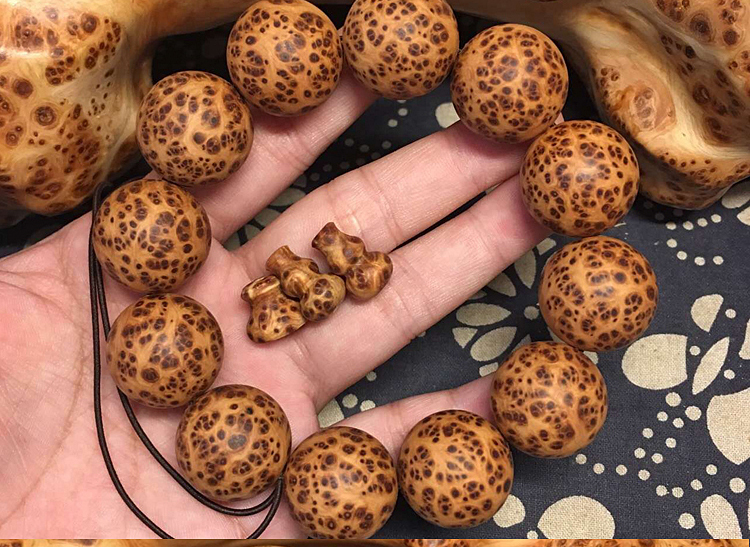 tyc7111cc太阳成集团