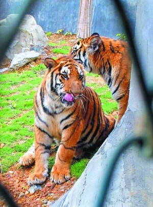 【太阳成tyc7111cc官网】广东20人入选“珠江人才计划” 珠海人才占五分之一(图2) tyc7111cc太阳成集团