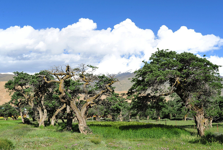 中国出台反恐怖主义法 将反恐纳入国家安全战略|tyc7111cc太阳成集团(图2) 太阳成tyc7111cc官网