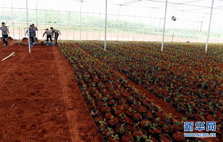 “tyc7111cc太阳成集团”70年住房变迁:从“蜗居”到“宜居”(图1) tyc7111cc太阳成集团