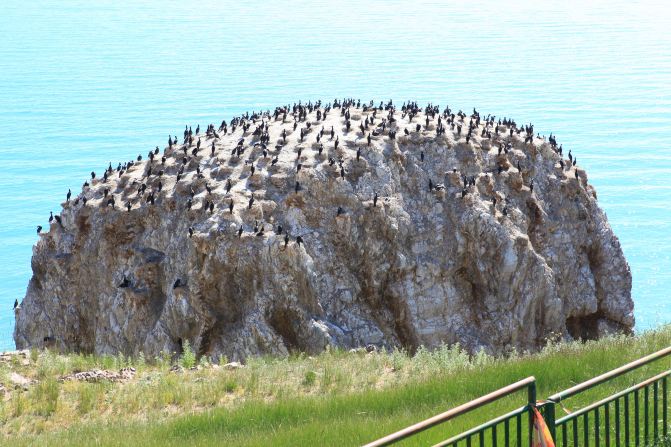 太阳成tyc7111cc:梅花社区开展美丽城镇环境卫生整治活动(图4) 太阳成tyc7111cc