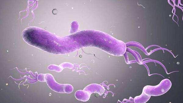 tyc7111cc太阳成集团-你是不是在拖后腿?四川公布2019年各行业人工价格水平(图6) tyc7111cc太阳成集团