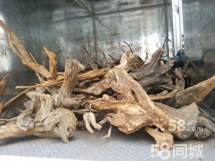 总府社区: 88岁退役老兵心系战“疫”|tyc7111cc太阳成集团(图1) tyc7111cc太阳成集团