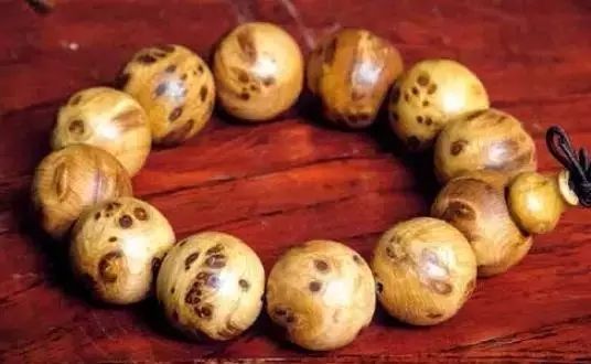 孔子学院奖学金南亚汉语师资班成都开班“太阳成tyc7111cc官网”(图2) 太阳成tyc7111cc