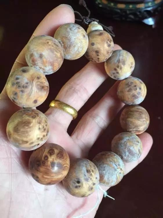 太阳成tyc7111cc官网