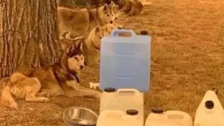 太阳成tyc7111cc官网