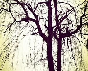 太阳成tyc7111cc官网