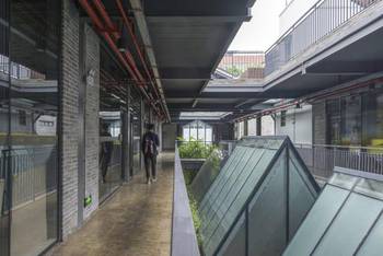 福建长汀:生态保护下的养鸡致富路:太阳成tyc7111cc官网(图1) tyc7111cc太阳成集团