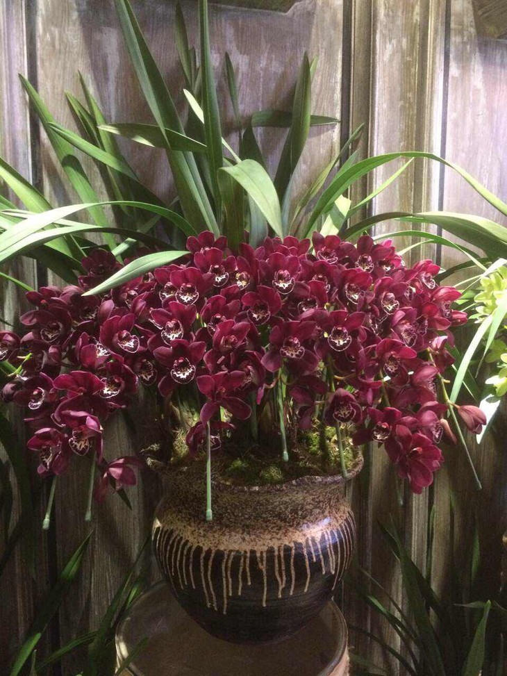 太阳成tyc7111cc官网