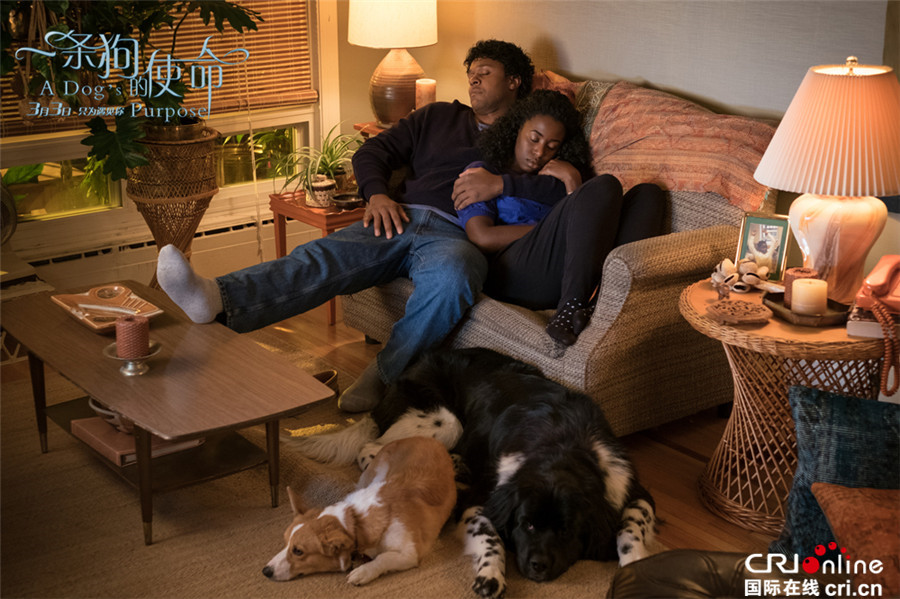 tyc7111cc太阳成集团